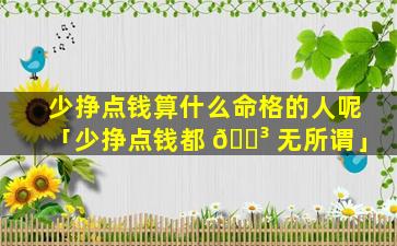 少挣点钱算什么命格的人呢「少挣点钱都 🌳 无所谓」